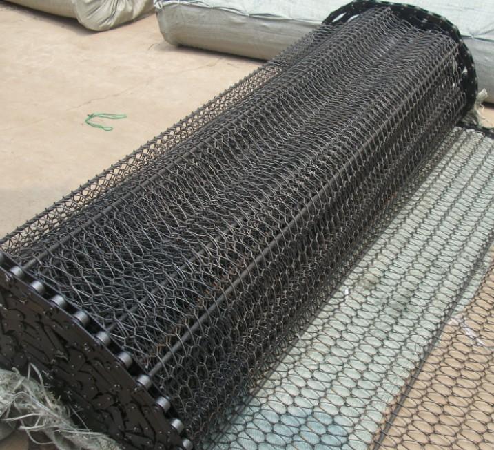 供應(yīng)鏈桿輸送帶/鏈條鏈桿輸送帶