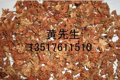 供應(yīng)自然曬干茉莉花干