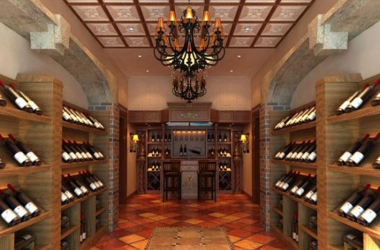 供應恒溫酒窖 地下酒窖 萊歐酒窖