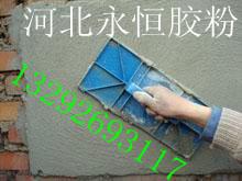 批發(fā)抹面砂漿膠粉圖片