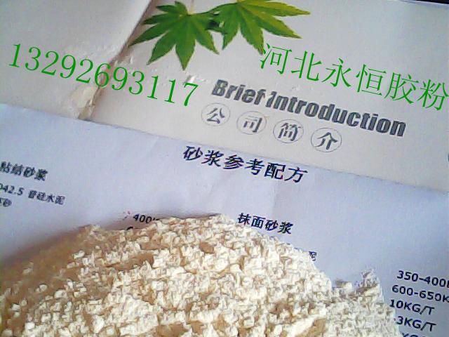 供應(yīng)通用膠粉/擠塑板與聚苯板通用膠粉