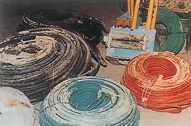 東莞白蟻對電纜的危害圖片