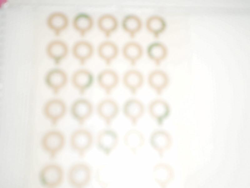 供應(yīng)手機(jī)攝像頭背膠攝像頭背膠攝像頭背膠