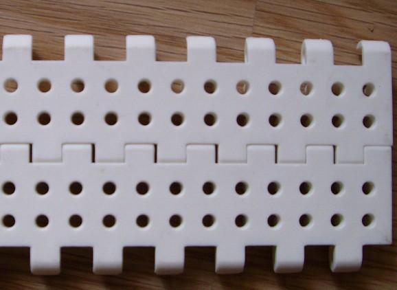 X塑料網(wǎng)帶供應(yīng)商/大量批發(fā)圖片