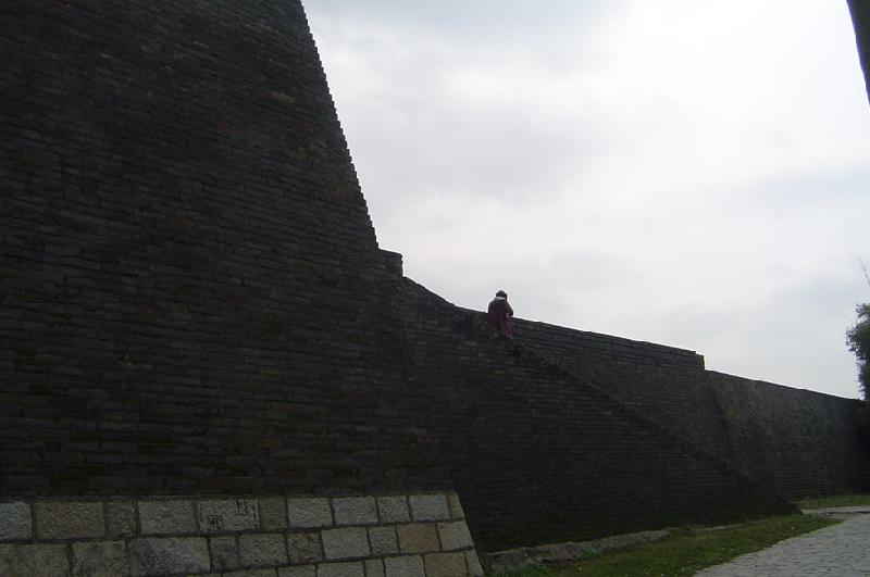 供應(yīng)福州仿古青磚供應(yīng)商