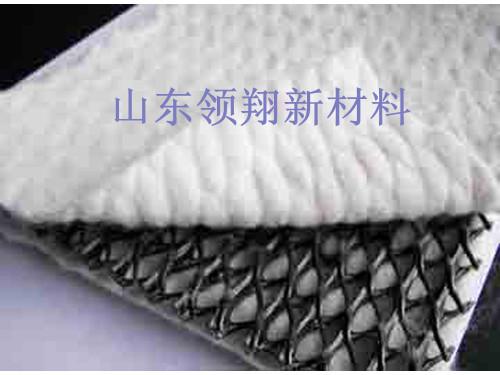 三維復(fù)合排水網(wǎng)圖片