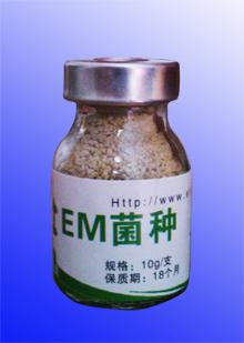 em菌生产工艺流程说明 em菌生产企业 桂林em菌生产技术