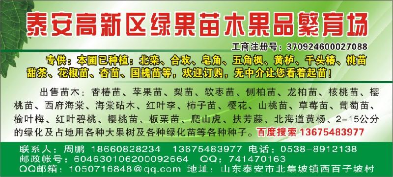 供新櫻桃種子手工加工保證出芽率純當?shù)刎?8660828234
