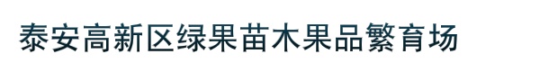 泰安高新区绿果苗木果品繁育场