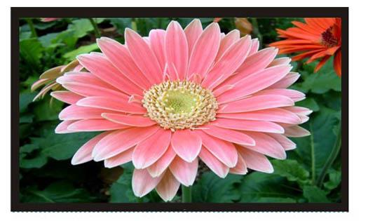 82寸液晶監(jiān)視器廠家直銷圖片