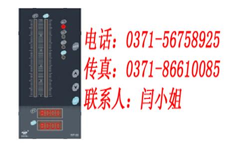 供应福建上润双回路数字/光柱显示控制仪WP-D821-000-08/图片