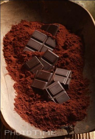 供應(yīng)食品添加劑可可粉的廠家