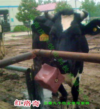 供應(yīng)英國(guó)進(jìn)口紅洛奇營(yíng)養(yǎng)舔磚