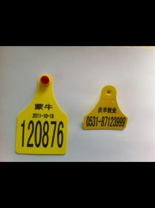 供應(yīng)進(jìn)口大號(hào)耳標(biāo)