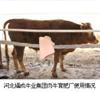 供應(yīng)英國(guó)進(jìn)口紅洛奇營(yíng)養(yǎng)舔磚