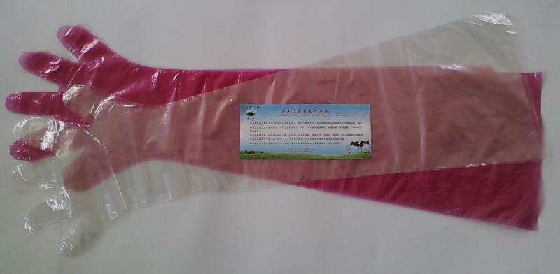 供應(yīng)一次性長臂手套