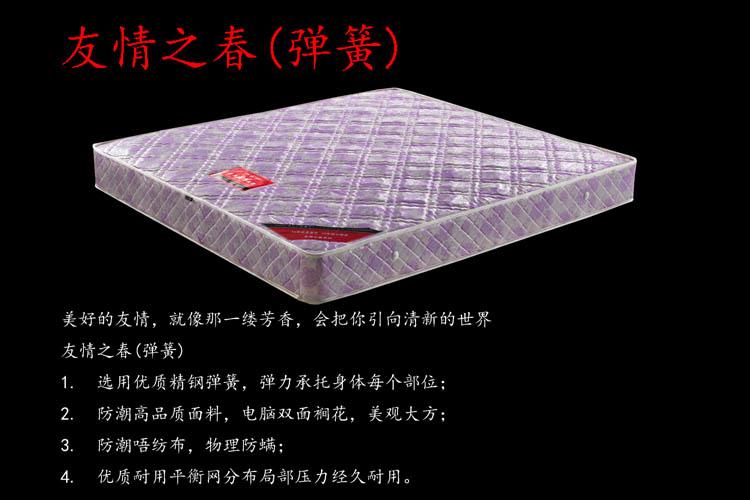 友情之春圖片