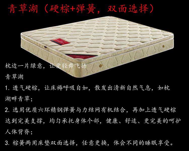 賓館床墊圖片/賓館床墊樣板圖 (3)