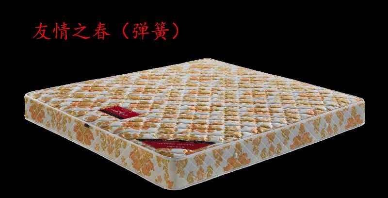 床墊家具床墊圖片/床墊家具床墊樣板圖 (2)