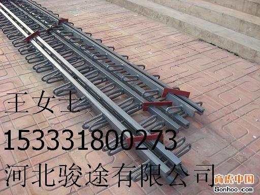 泰成廠家大量供應(yīng)東北地區(qū)伸縮縫/z80橋梁伸縮縫高質(zhì)量產(chǎn)品【小王】