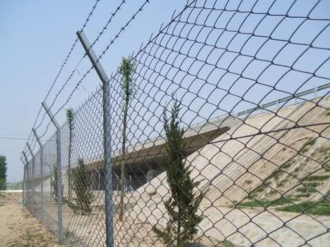 供應(yīng)公路綠化鐵絲網(wǎng) 噴播掛網(wǎng) 噴漿掛網(wǎng) 綠化鐵絲網(wǎng)