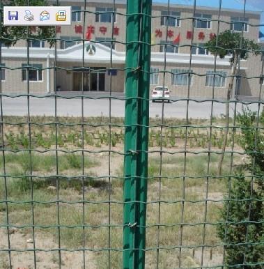 供應(yīng)養(yǎng)雞鐵絲網(wǎng)圍欄價(jià)格養(yǎng)雞鐵絲網(wǎng)圍網(wǎng)養(yǎng)雞鐵絲網(wǎng)廠家養(yǎng)雞鐵絲網(wǎng)價(jià)格