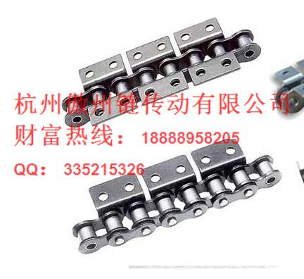 5分短節(jié)距輸送鏈條，優(yōu)質5分雙排短節(jié)距輸送鏈，浙江5分雙側單孔彎板鏈，5分輸送鏈條廠家直銷