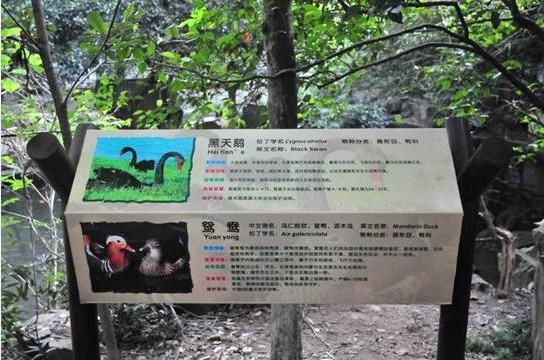供應(yīng)說(shuō)明牌、動(dòng)物說(shuō)明牌 動(dòng)物簡(jiǎn)介牌、景區(qū)動(dòng)物說(shuō)明牌