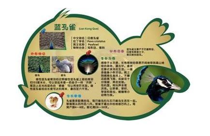 供應(yīng)說(shuō)明牌、動(dòng)物說(shuō)明牌 動(dòng)物簡(jiǎn)介牌、景區(qū)動(dòng)物說(shuō)明牌