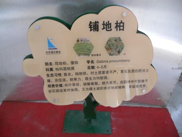 供應(yīng)草地牌批發(fā)溫馨提示牌花草牌草地牌批發(fā)價(jià)格