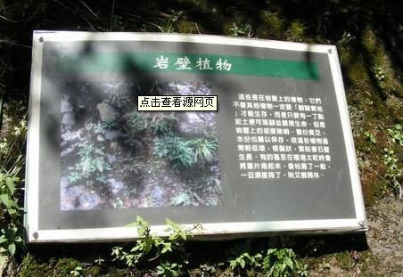 供應(yīng)說明牌、景區(qū)植物說明牌、植物標(biāo)識牌、景區(qū)植物介紹牌、植物牌
