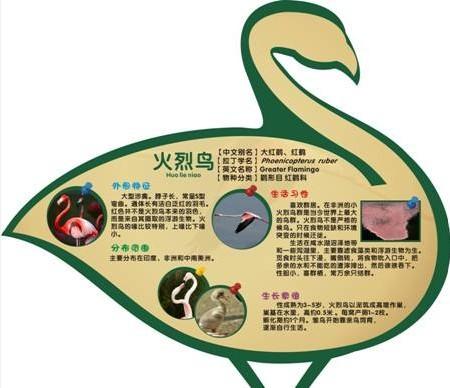 供應(yīng)說(shuō)明牌、動(dòng)物說(shuō)明牌 動(dòng)物簡(jiǎn)介牌、景區(qū)動(dòng)物說(shuō)明牌