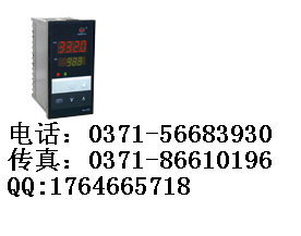 上润,仪表WP-D825图片