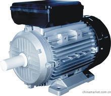 進口電機維修，北京進口電機維修保養(yǎng)換軸承配件