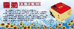 供應(yīng)高仁雪菊批發(fā),參考價。
