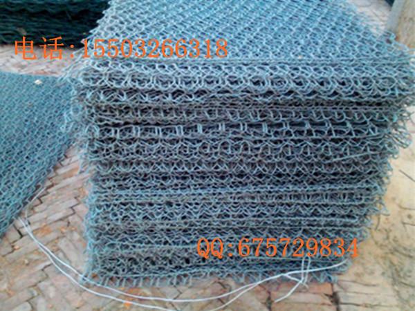 鍍鋅覆塑石籠網(wǎng) 熱鍍鋅覆塑石籠網(wǎng) 電鍍鋅覆塑石籠網(wǎng)