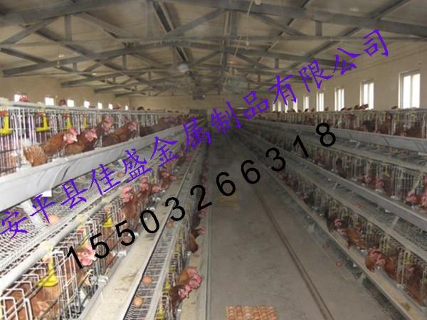 供應雞籠子