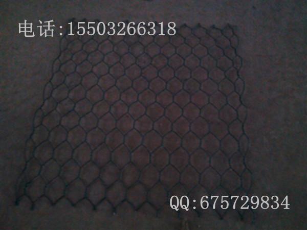 供應(yīng)覆塑石籠網(wǎng) 覆塑石籠網(wǎng) 塞克石籠網(wǎng)