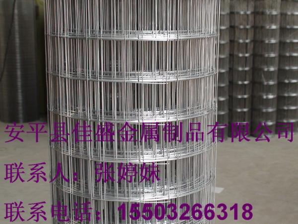 不銹鋼電焊網(wǎng)規(guī)格 價(jià)格