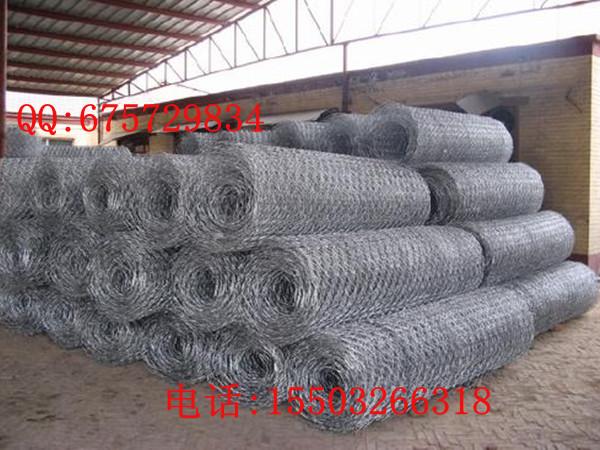 堤坡格賓網(wǎng)防護圖片