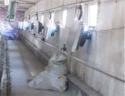 供應(yīng)山西豬舍溫控鍋爐