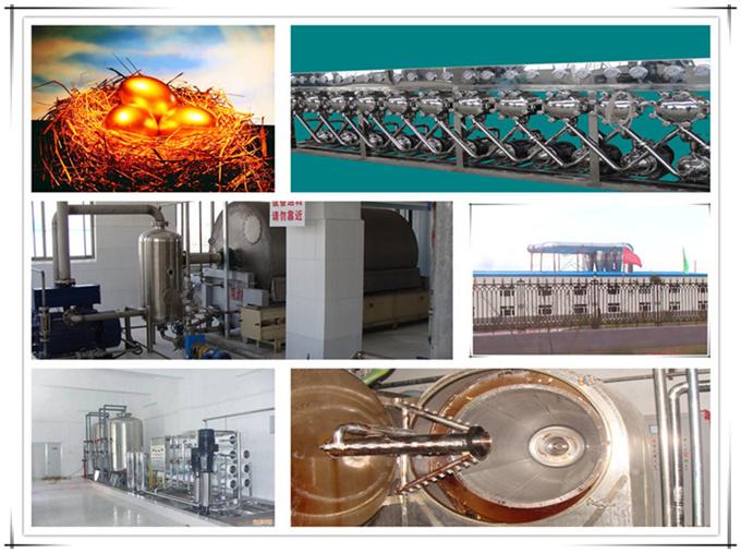 供應(yīng)藕粉淀粉凈化器