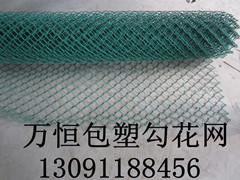 菱形網(wǎng)廠家包塑斜方網(wǎng)圖片/菱形網(wǎng)廠家包塑斜方網(wǎng)樣板圖 (4)