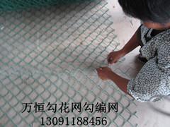 菱形網(wǎng)廠家包塑斜方網(wǎng)圖片/菱形網(wǎng)廠家包塑斜方網(wǎng)樣板圖 (3)