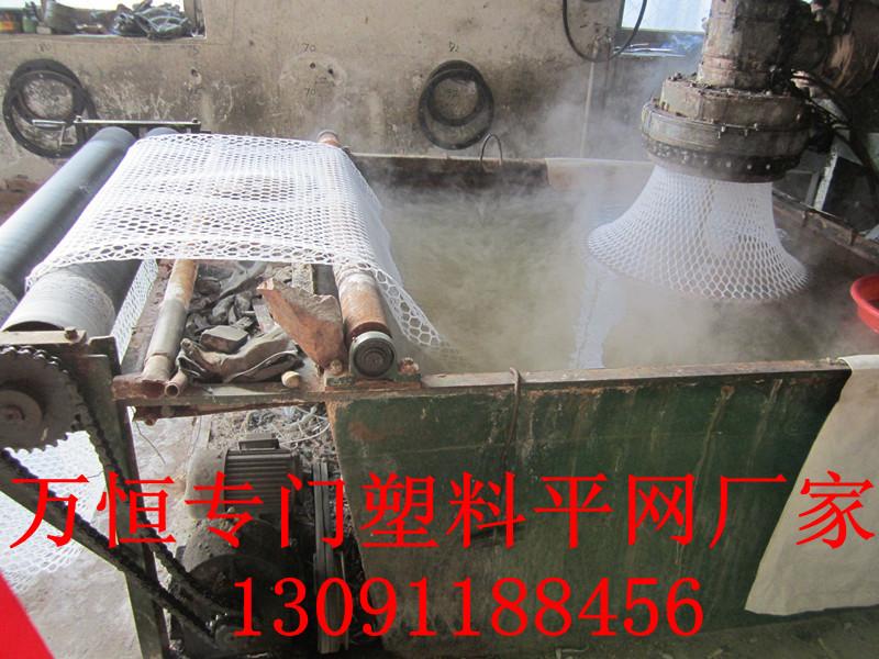 供應批發(fā)塑料平網(wǎng)養(yǎng)雞塑料圍網(wǎng)養(yǎng)鴨塑料養(yǎng)殖網(wǎng)養(yǎng)鵝塑料床網(wǎng)