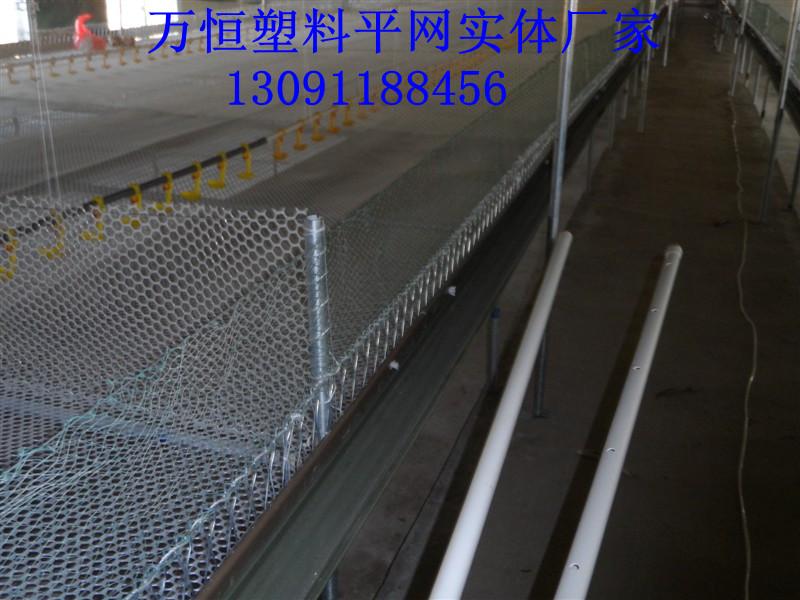 供應(yīng)養(yǎng)殖魚蝦用塑料平網(wǎng)水產(chǎn)養(yǎng)殖*塑料平網(wǎng)水產(chǎn)養(yǎng)殖圍網(wǎng)