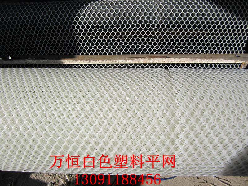 供應批發(fā)塑料平網(wǎng)養(yǎng)雞塑料圍網(wǎng)養(yǎng)鴨塑料養(yǎng)殖網(wǎng)養(yǎng)鵝塑料床網(wǎng)