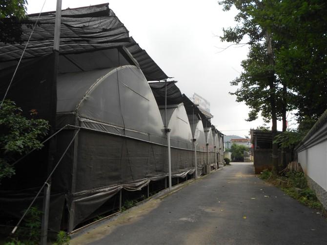 供應(yīng)純新料遮陽網(wǎng)抗老化萬恒遮陰網(wǎng)價錢耐用6年萬恒遮光網(wǎng)