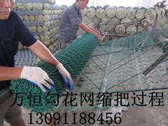 供應(yīng)萬恒勾花網(wǎng)安裝浸塑勾花網(wǎng)護欄網(wǎng)免費提供安裝技巧勾花網(wǎng)護欄網(wǎng)