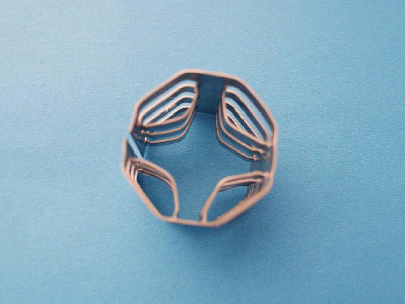 江西25/40/63金屬304/316L麥勒環(huán)圖片